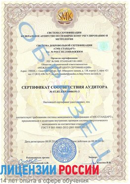 Образец сертификата соответствия аудитора №ST.RU.EXP.00006191-3 Абакан Сертификат ISO 50001